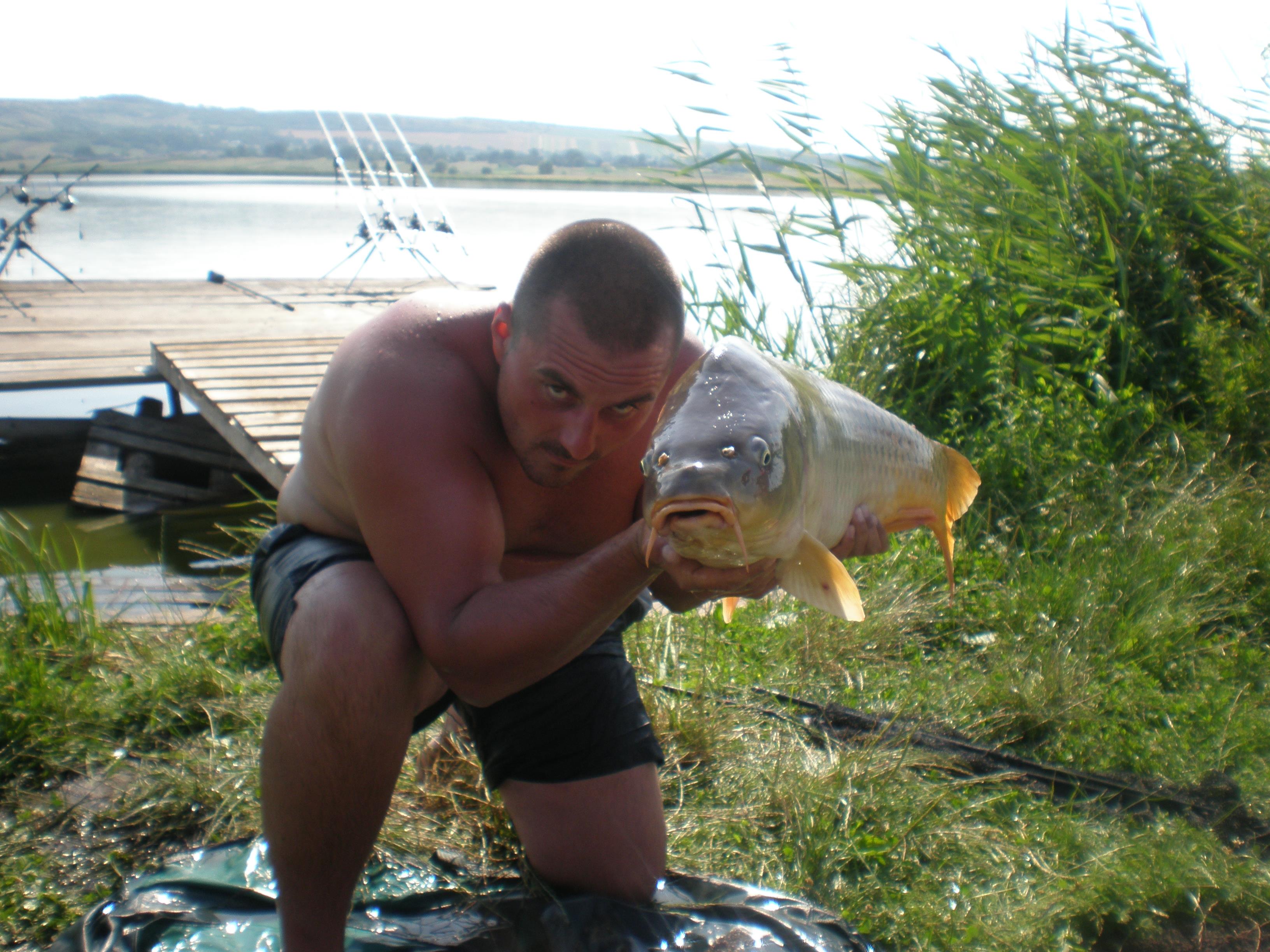 ccarp - P7250458.JPG